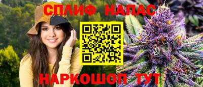 гидра Заволжье