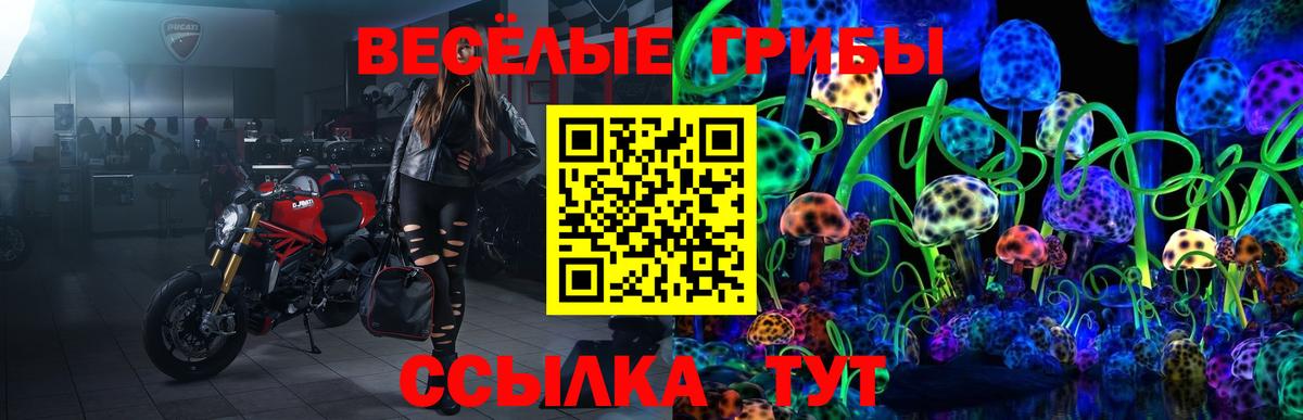 Бирск  Псилоцибиновые грибы Cubensis  Вход с VPN  Галлюциногенные грибы мухоморы 